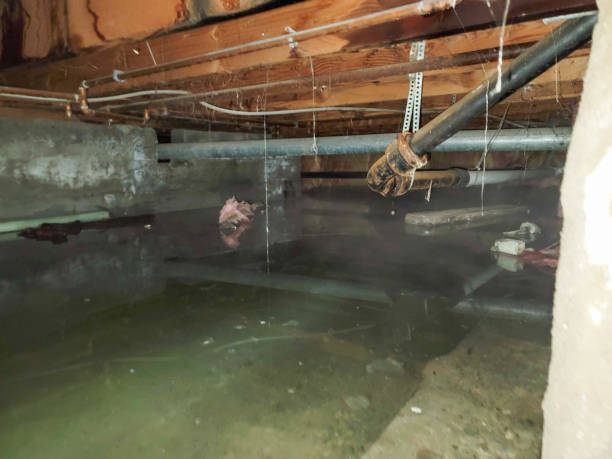 Carpet water damage restoration in Vail, AZ