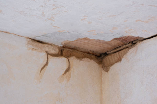 Best Ceiling water damage repair  in Vail, AZ