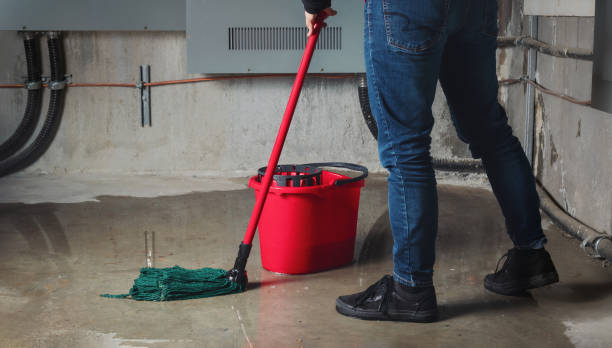 Best Water damage restoration near me  in Vail, AZ