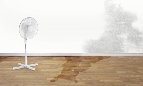 Trusted Vail, AZ Water damage restoration Experts