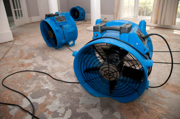 Best Sewage cleanup and water damage restoration  in Vail, AZ