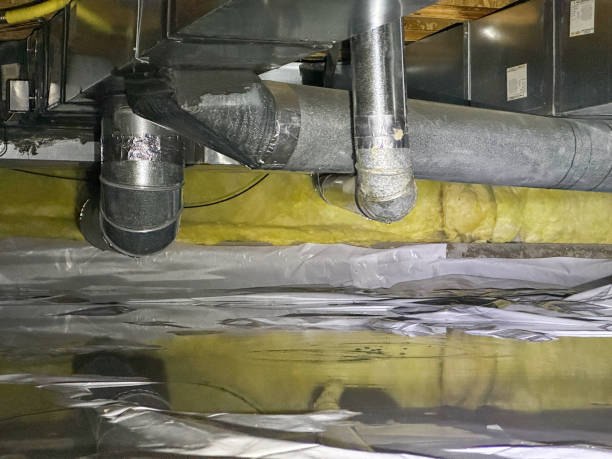 Best Flood damage cleanup  in Vail, AZ