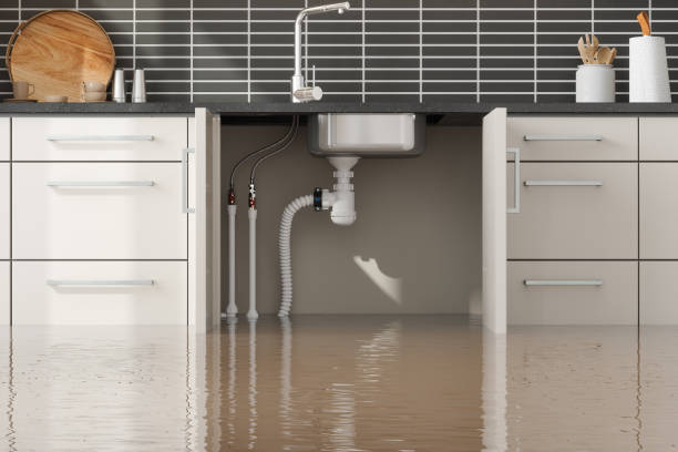 Best Mold removal after water damage  in Vail, AZ