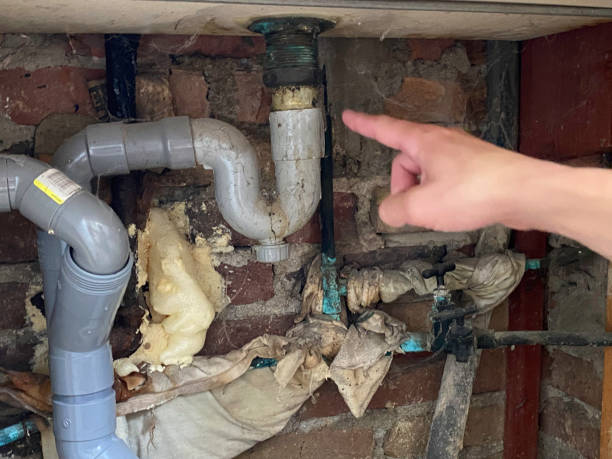  Vail, AZ Water damage restoration Pros